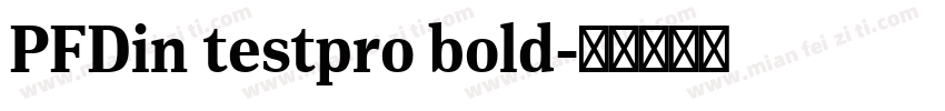 PFDin testpro bold字体转换